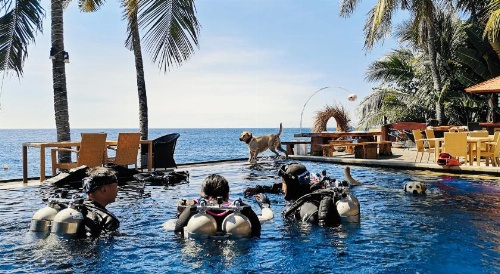 Villa Alba Bali Dive Resort image 35